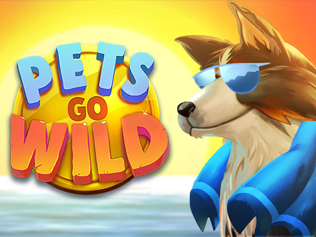 Пет гоу. Go! Pets. Фантастик Pets Demo.